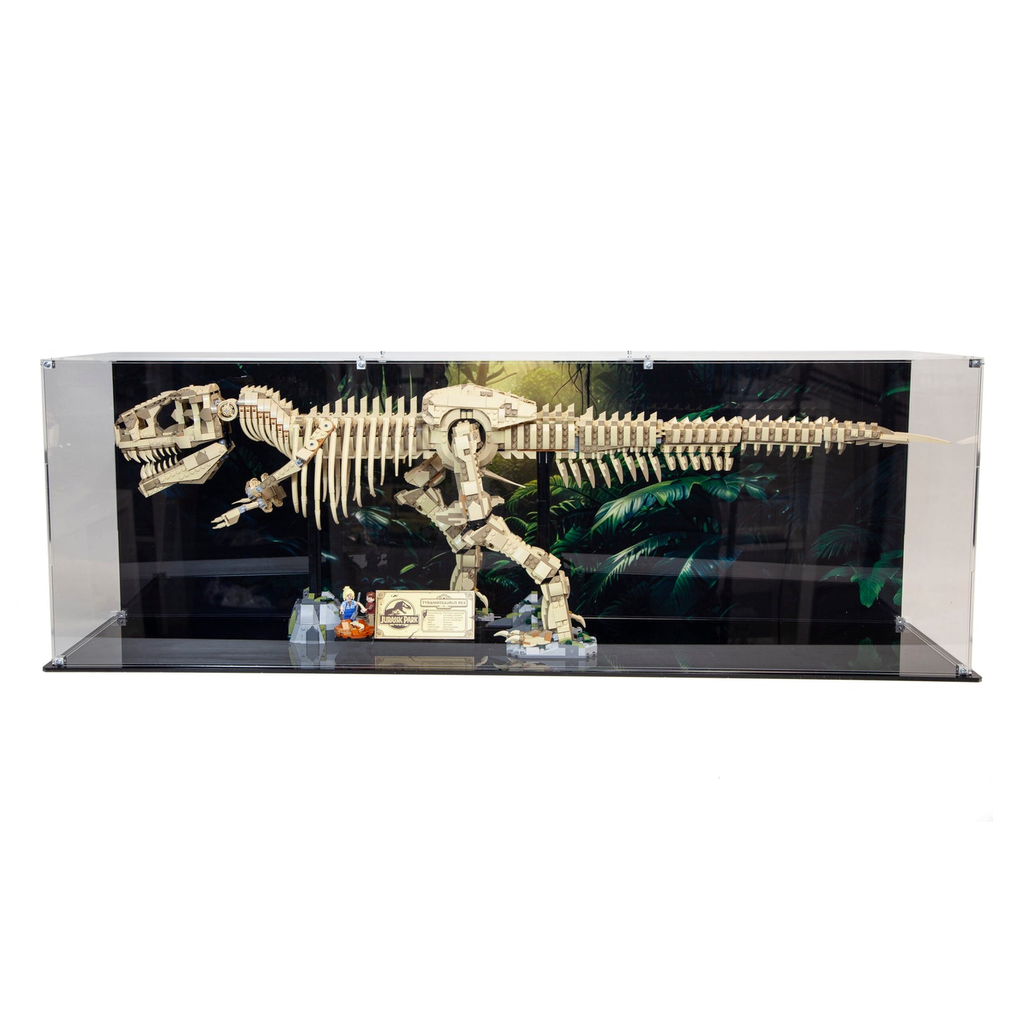 Premium Acrylic Display Case for the LEGO Dinosaur Fossils: Tyrannosaurus rex 76968