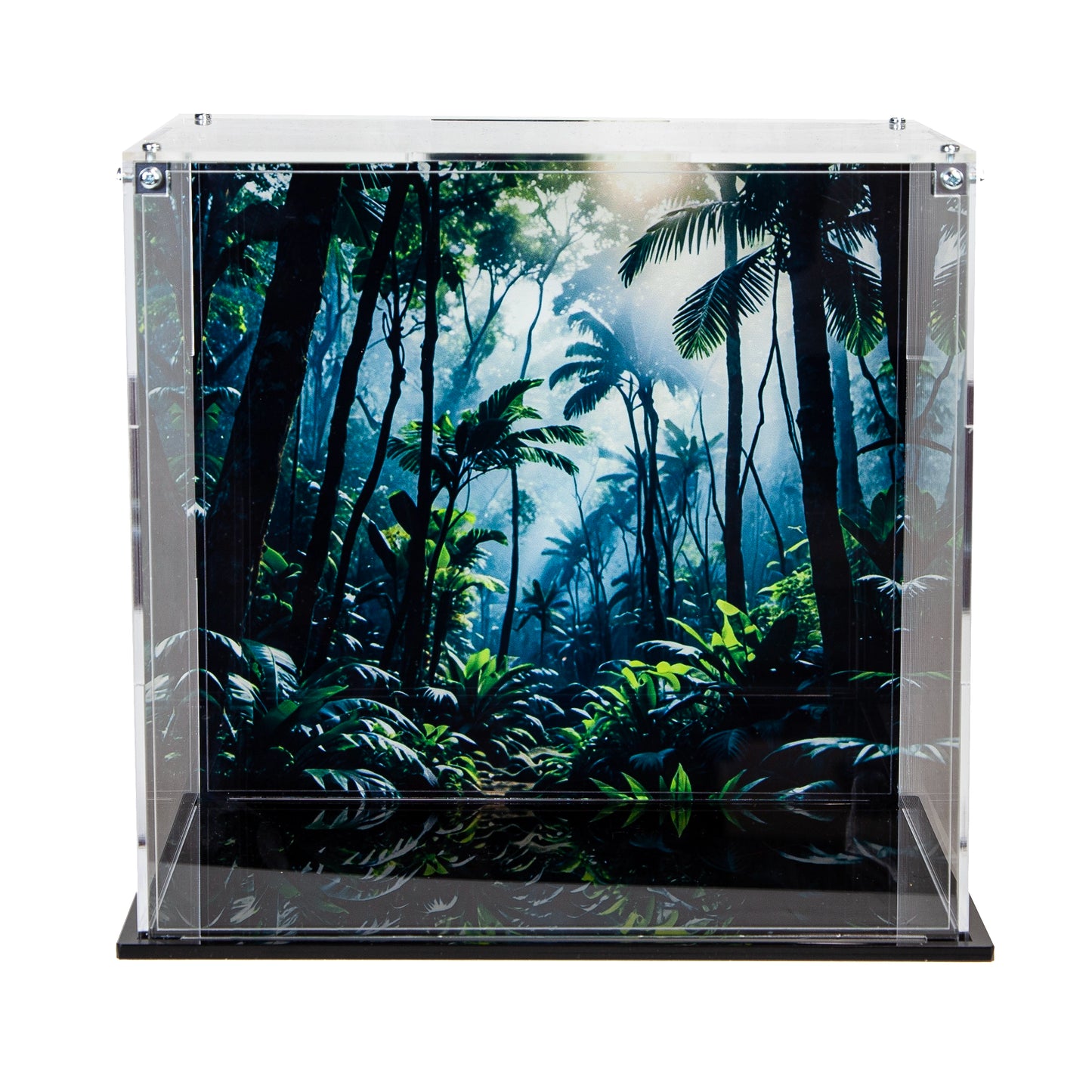 Acrylic Display Case for the LEGO Dinosaur Fossils: T. rex Skull 76964