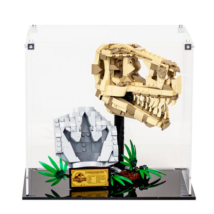 Acrylic Display Case for the LEGO Dinosaur Fossils: T. rex Skull 76964