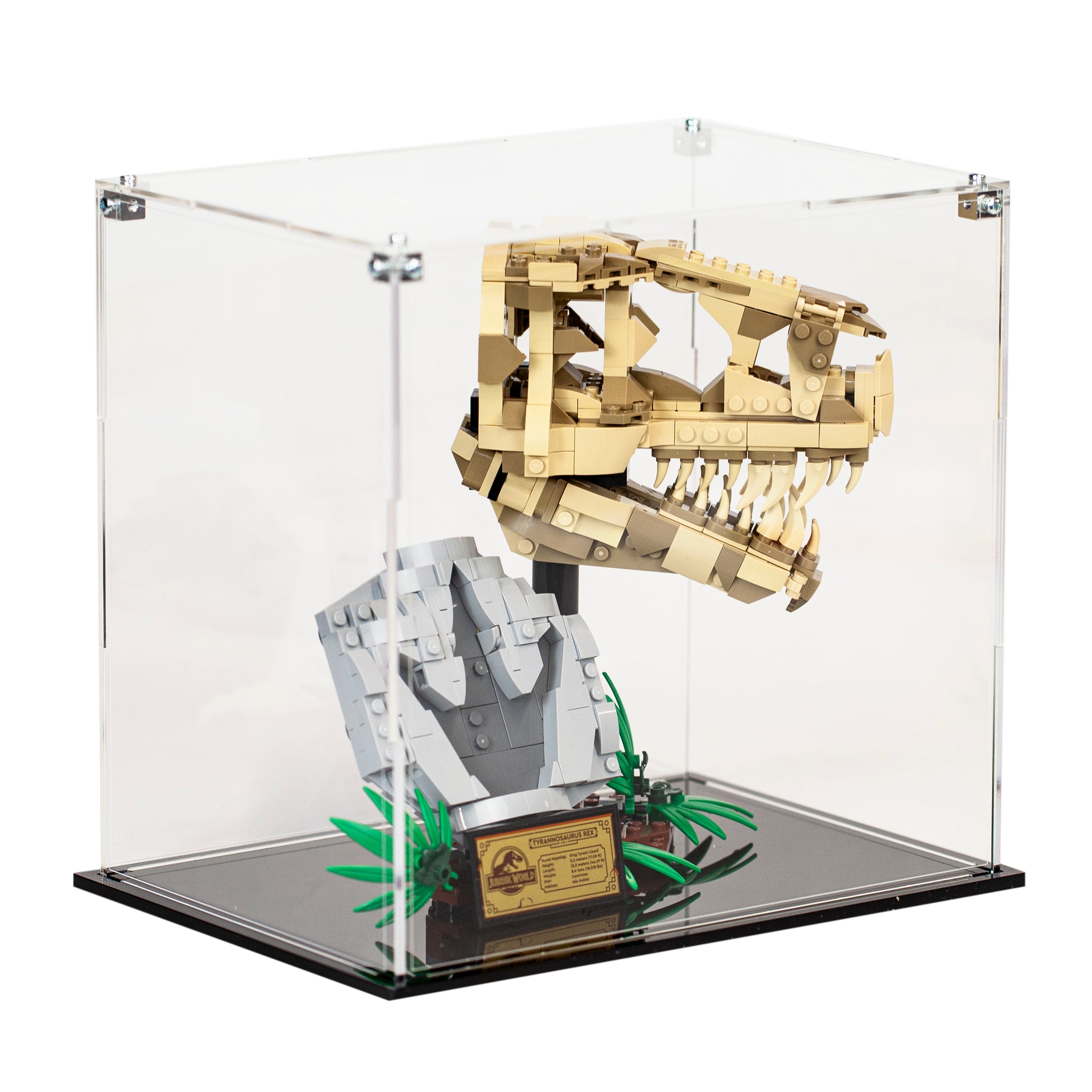 Acrylic Display Case for the LEGO Dinosaur Fossils: T. rex Skull
