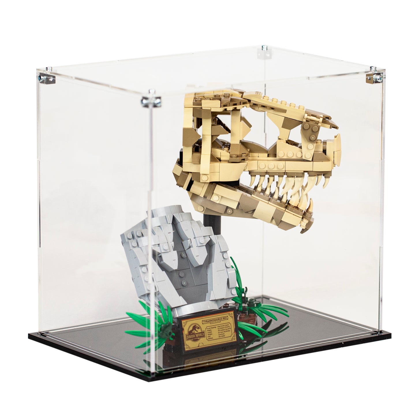 Acrylic Display Case for the LEGO Dinosaur Fossils: T. rex Skull 76964