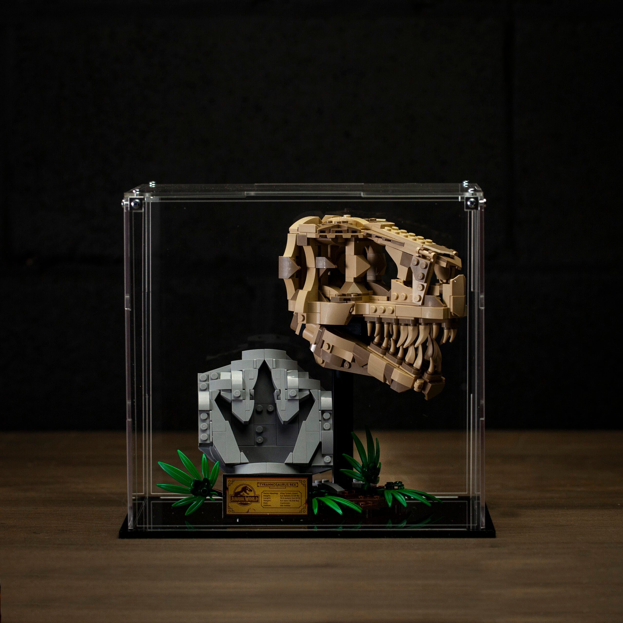 ショーケース Display Case for LEGO Jurassic Dinosaur Fossils T. rex Skull 76964