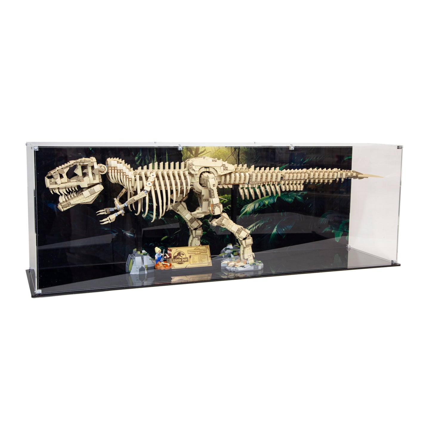 Premium Acrylic Display Case for the LEGO Dinosaur Fossils: Tyrannosaurus rex 76968