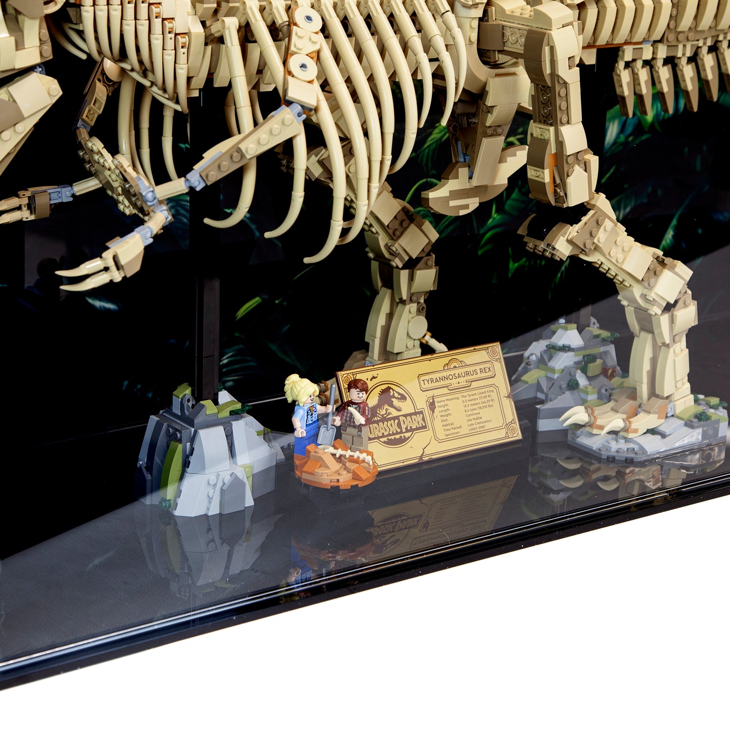 Premium Acrylic Display Case for the LEGO Dinosaur Fossils: Tyrannosaurus rex 76968