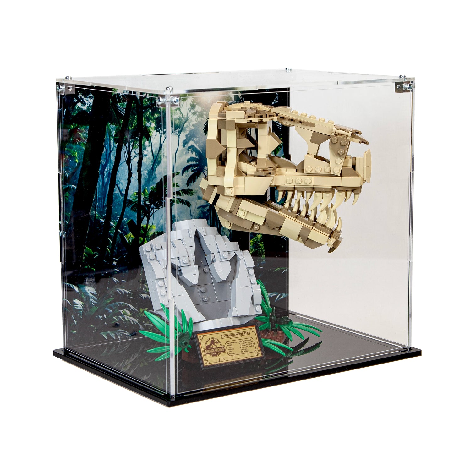 Acrylic Display Case for the LEGO Dinosaur Fossils: T. rex Skull 76964