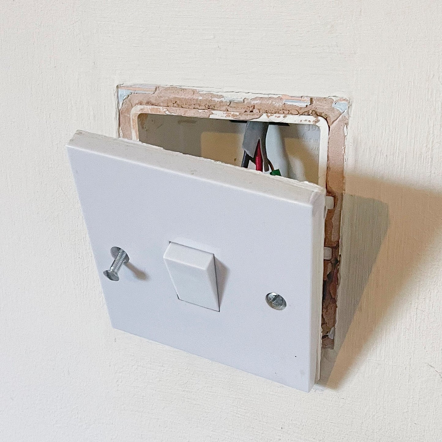 Fish Bone Acrylic Light Switch Surround