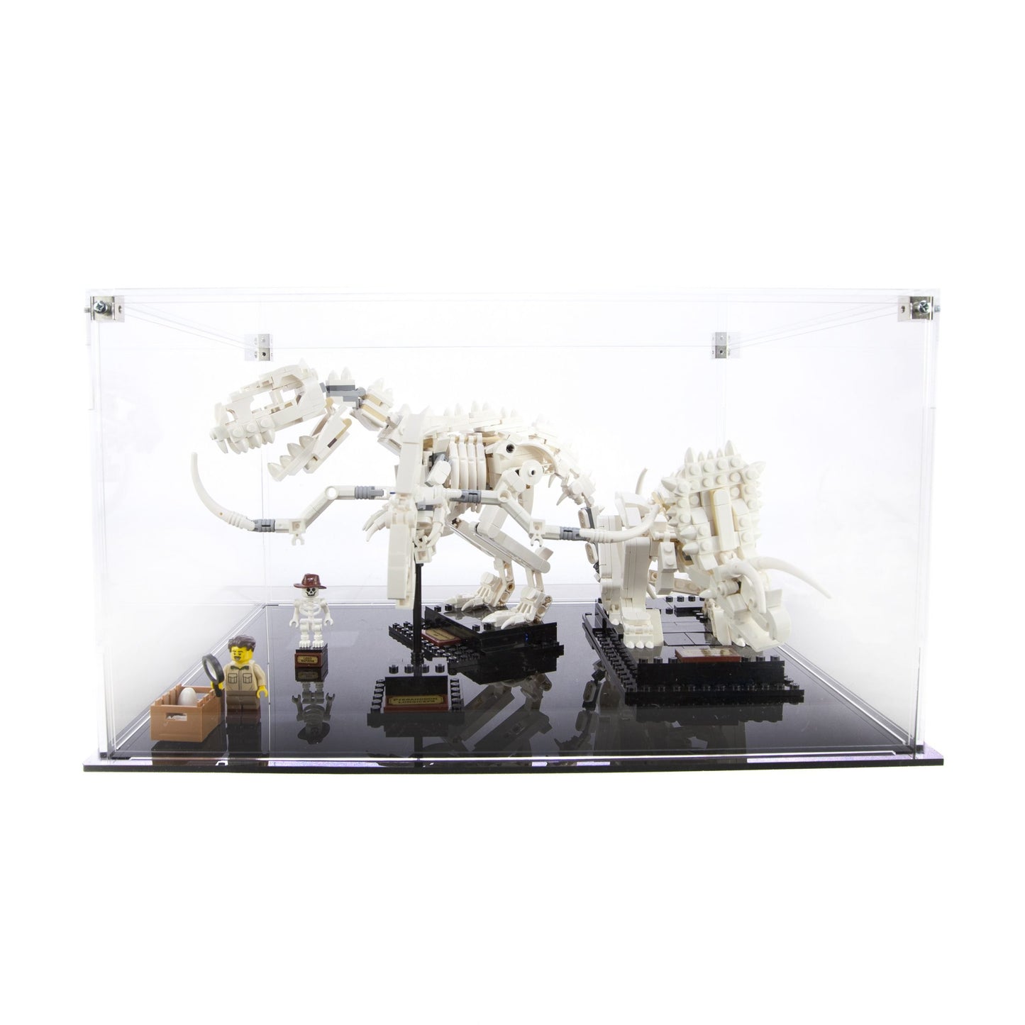 Acrylic Display Case for LEGO Dinosaur Fossils 21320