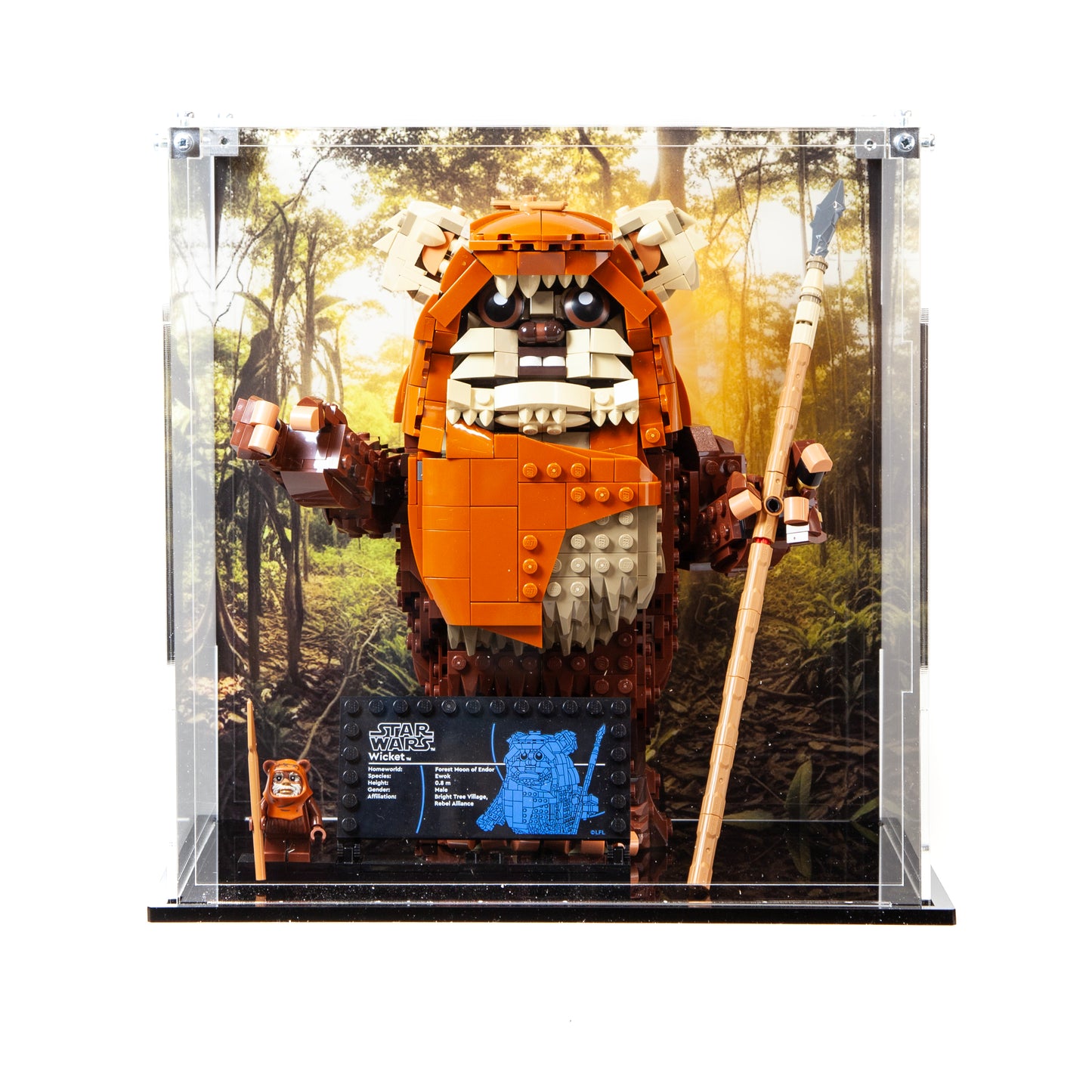 Acrylic Display Case for the LEGO Wicket the Ewok™ 75430