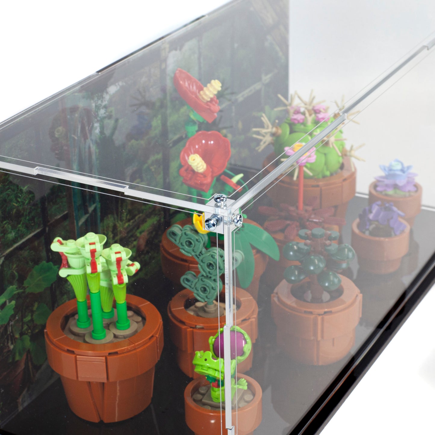 Acrylic Display Case for the LEGO Tiny Plants 10329