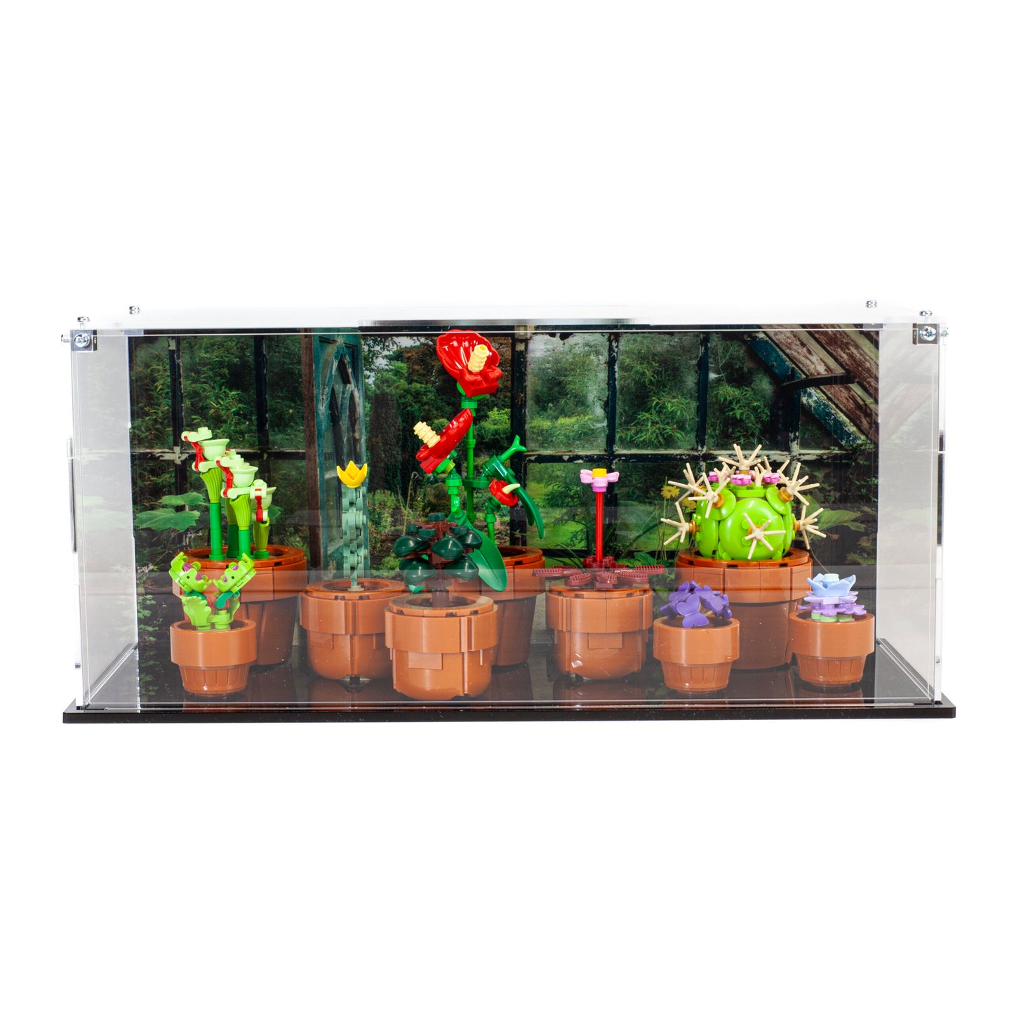Acrylic Display Case for the LEGO Tiny Plants 10329