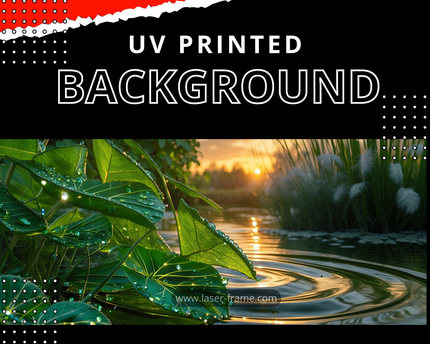 Premium Acrylic Display Case for LEGO® Kingfisher 10331 – Dustproof Collector Display