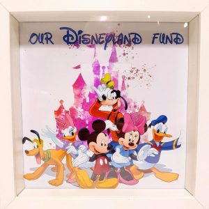 Our Disneyland Fund Money Box Frame